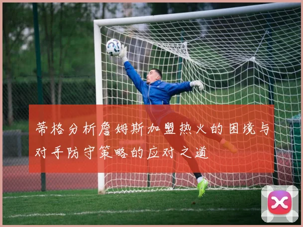蒂格分析詹姆斯加盟热火的困境与对手防守策略的应对之道