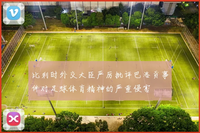 比利时外交大臣严厉批评巴洛贡事件对足球体育精神的严重侵害